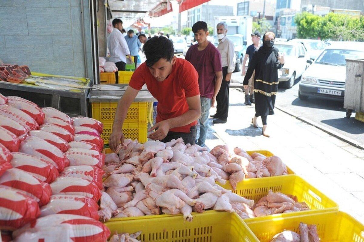 وضعیت مرغ در آستانه اربعین | قیمت مر مرغ به کجا رسید