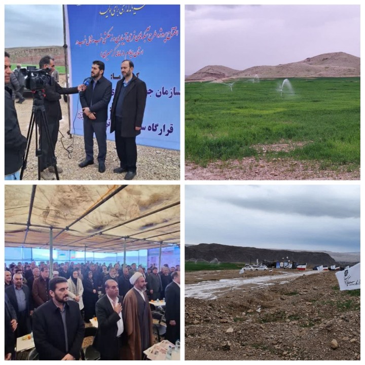 ۵ هزار هکتار زمین کشاورزی ایلام به بار نشست/تحقق یک پروژه ملی با مجوز عالی‌ترین سطوح حاکمیتی